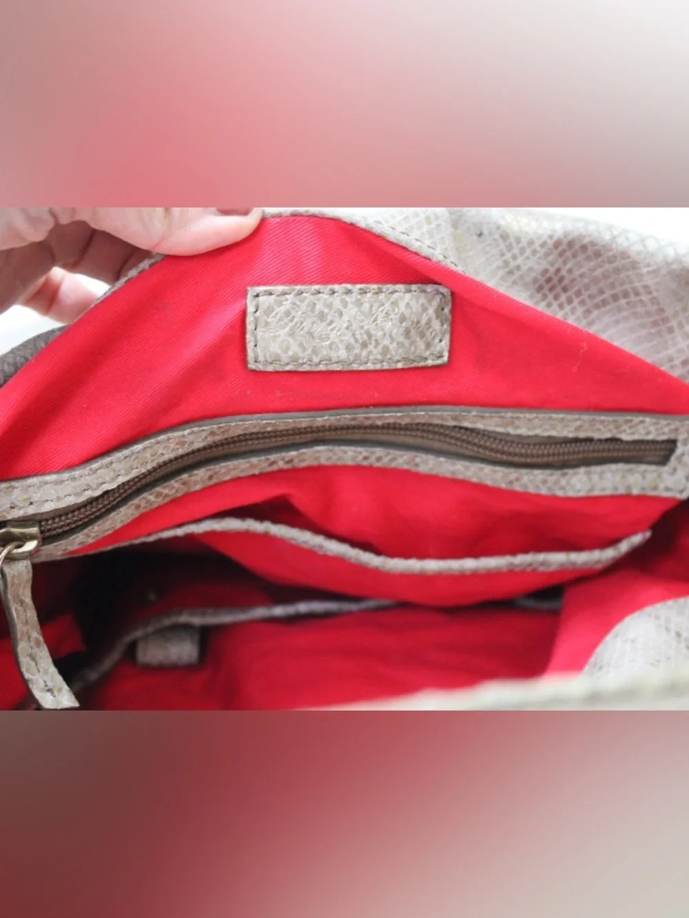 Dooney & Bourke Belvedere hobo bag